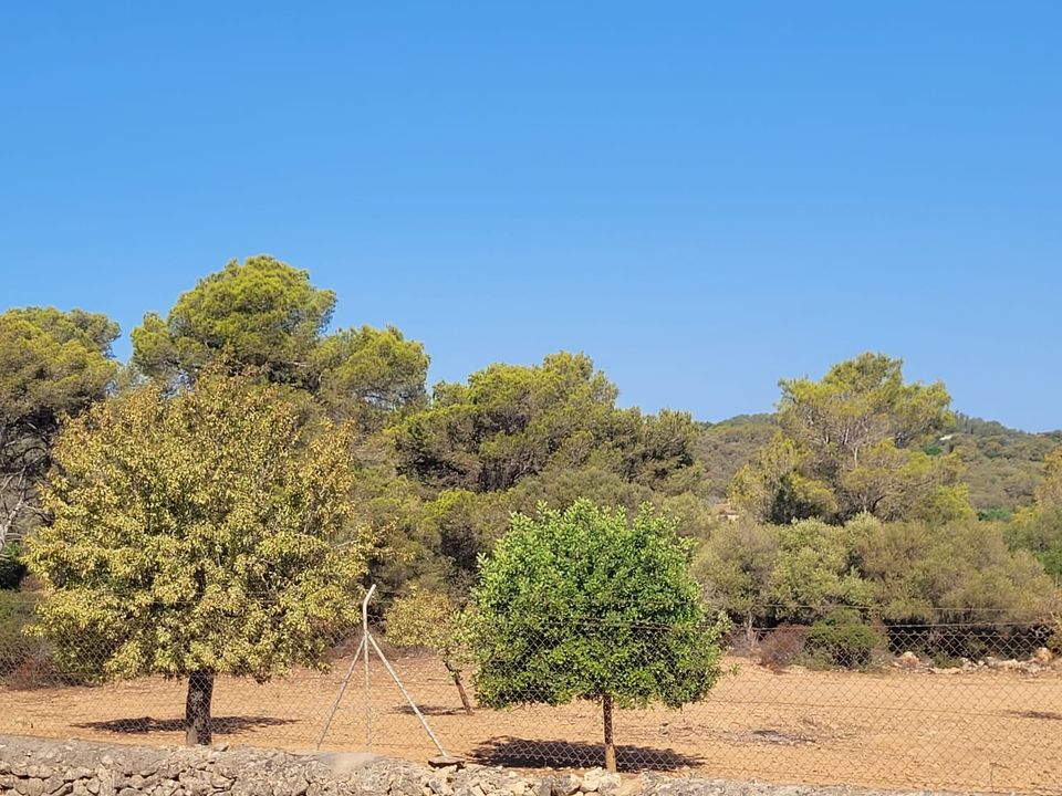 Helårsgrund i Manacor, Mallorca - foto 2